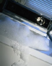 foto (229)  IMAGEN FOTOGRAFIA